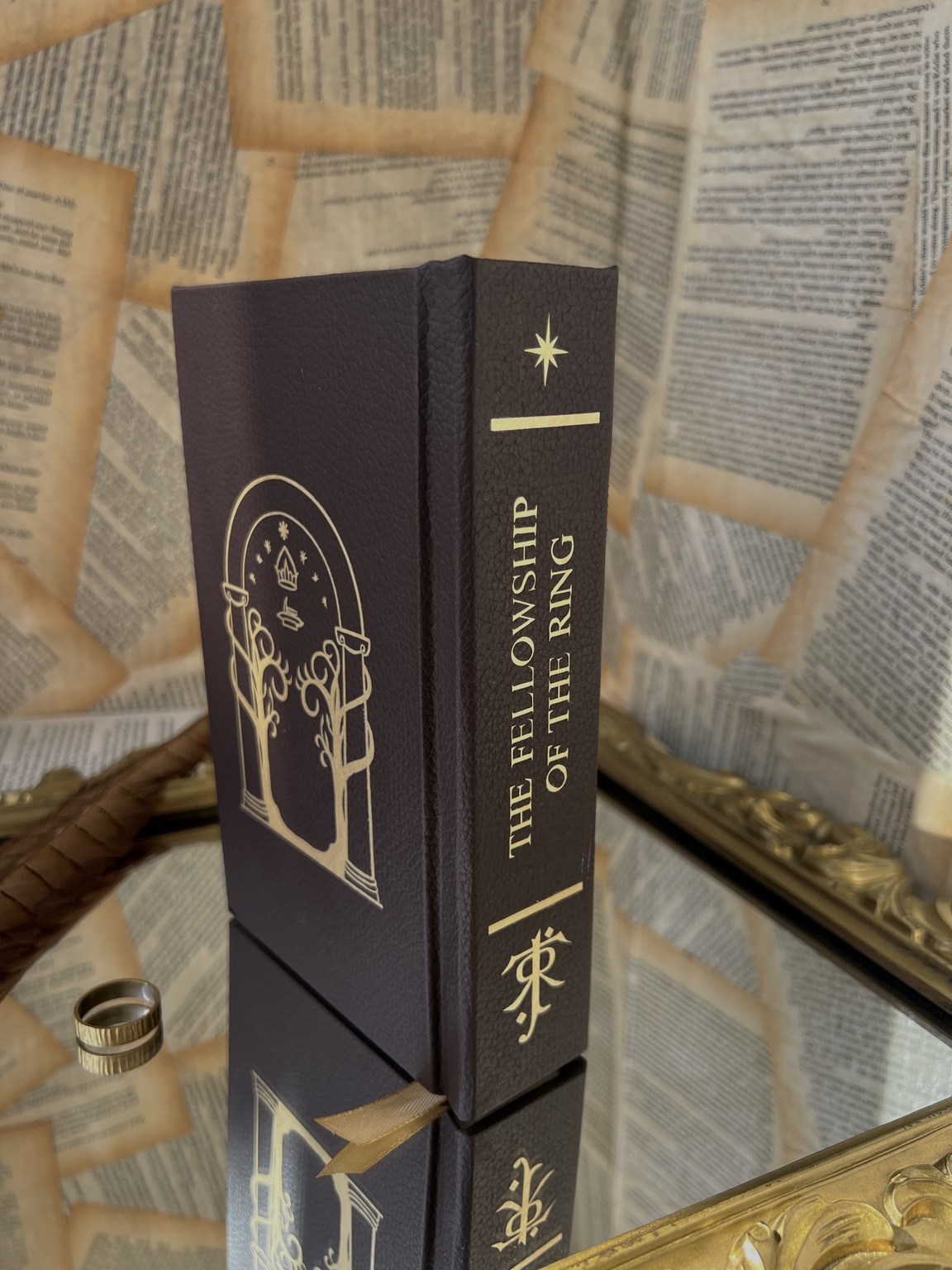 The Lord of the Rings - The Fellowship of the Ring custom spine with gold htv